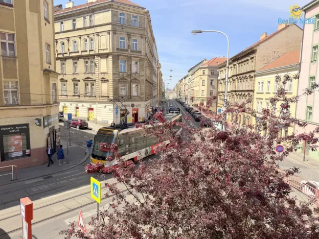 Pronájem bytu 4+kk, Praha - Žižkov, Chelčického, 118 m2