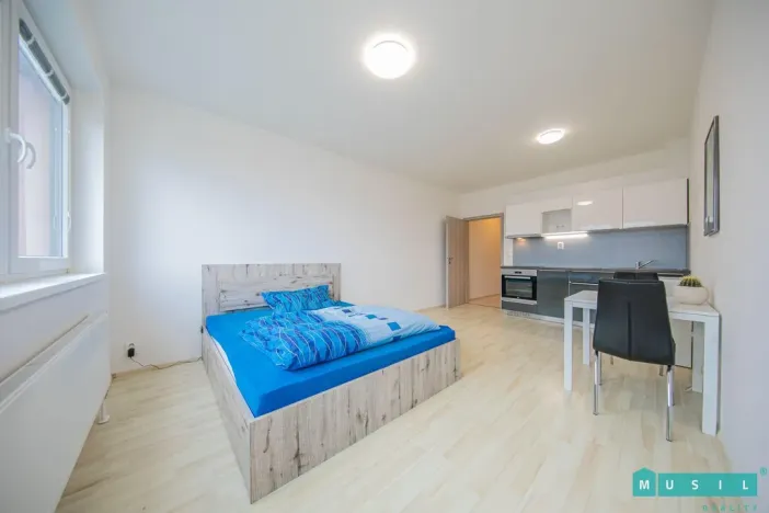 Pronájem bytu 1+kk, Olomouc - Řepčín, Aloise Rašína, 35 m2