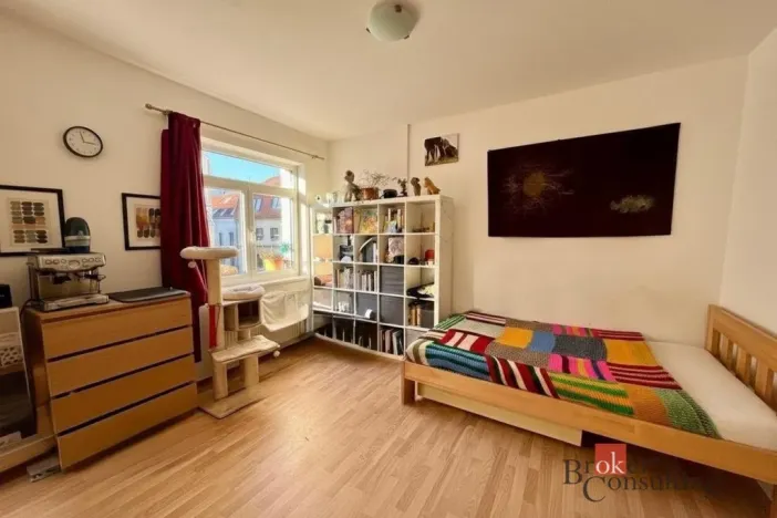 Pronájem bytu 1+kk, České Budějovice - České Budějovice 3, Nová, 30 m2