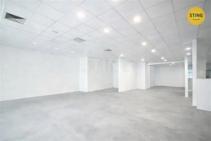 Pronájem obchodního prostoru, Ostrava, Denisova, 220 m2