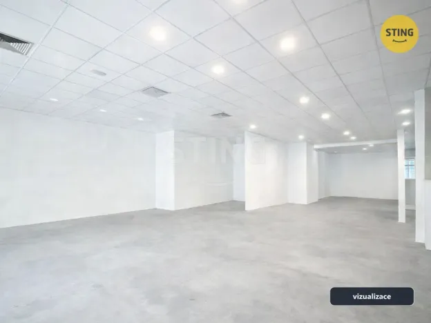 Pronájem obchodního prostoru, Ostrava, Denisova, 220 m2