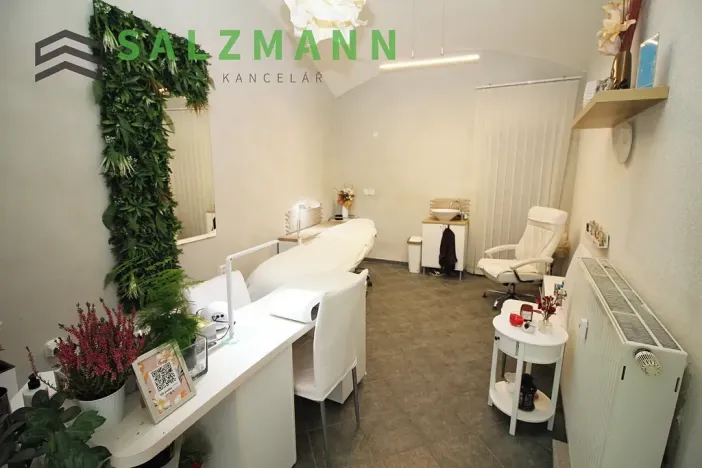 Pronájem obchodního prostoru, Plzeň, Bezručova, 15 m2