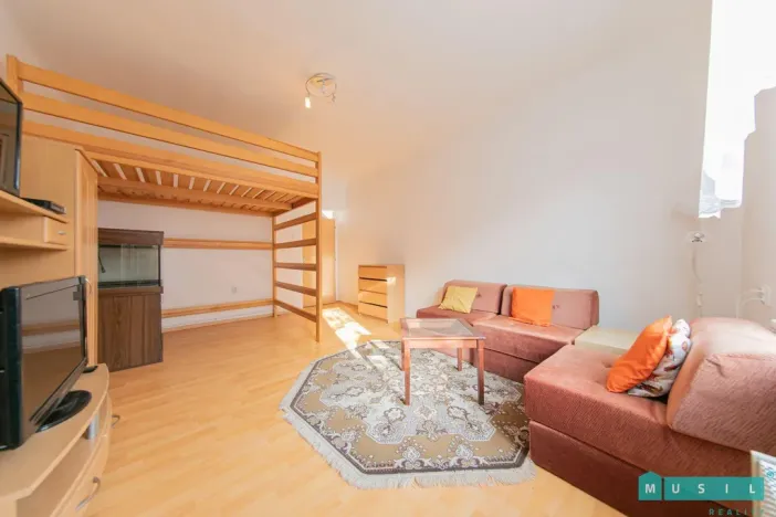 Pronájem bytu 1+1, Olomouc, kpt. Nálepky, 46 m2