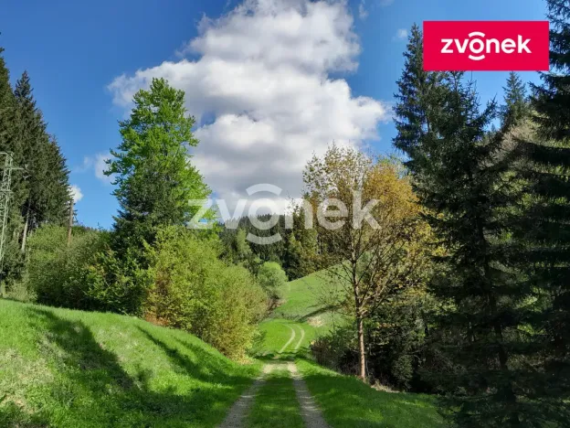 Prodej chalupy, Velké Karlovice, 90 m2