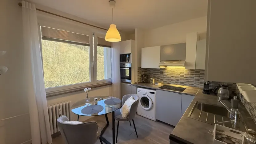 Pronájem bytu 1+1, Vsetín, Dolní Jasenka, 34 m2