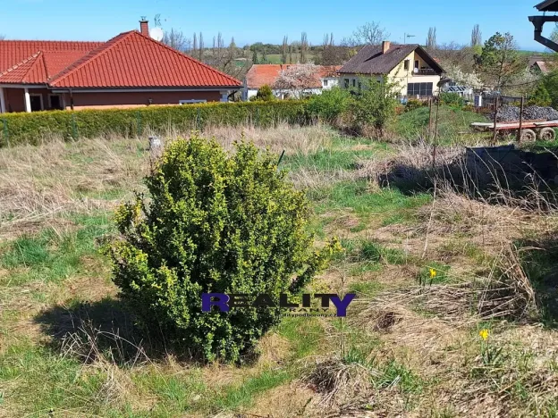 Prodej rodinného domu, Nepomyšl, 349 m2