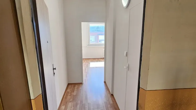 Prodej bytu 1+kk, Ústí nad Labem, Mlýnská, 22 m2