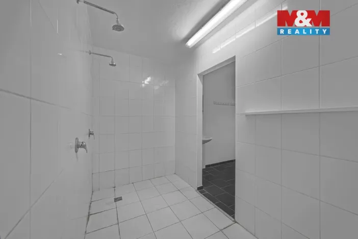 Prodej obchodního prostoru, Hradec Králové - Pražské Předměstí, Seydlerova, 195 m2