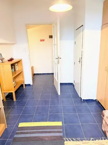 Prodej bytu 2+kk, Praha - Bubeneč, Lotyšská, 38 m2