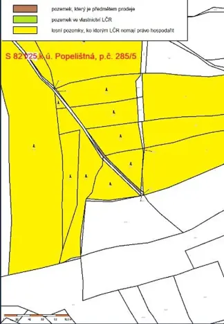 Prodej lesa, Červená Řečice, 308 m2