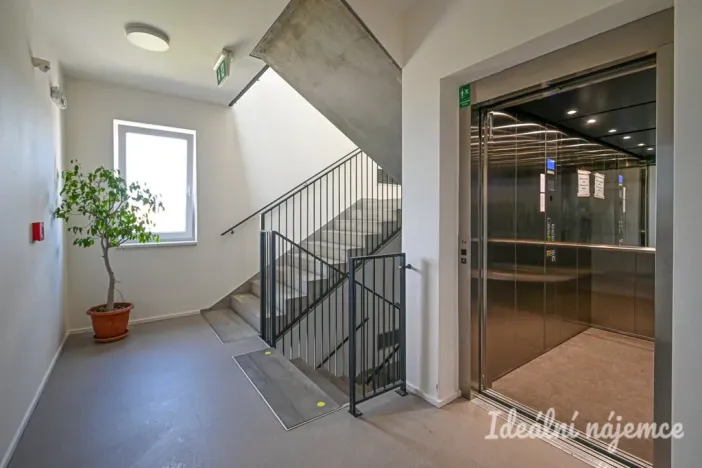 Pronájem bytu 1+kk, Brno - Trnitá, Křenová, 29 m2