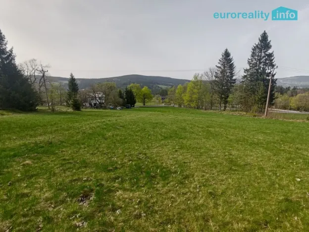 Prodej louky, Zdíkov - Masákova Lhota, 5869 m2