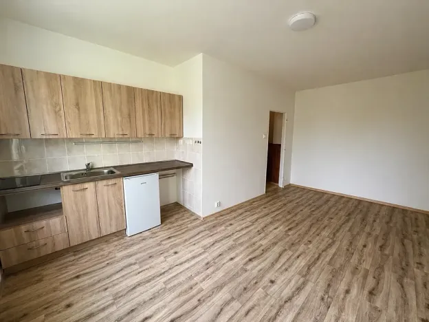 Pronájem bytu 1+kk, Frýdek-Místek, Slezská, 23 m2