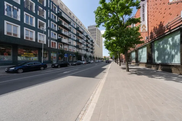 Pronájem bytu 1+kk, Brno, Trnitá, 24 m2