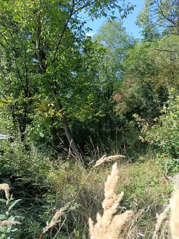 Prodej zahrady, Bojkovice, 1208 m2