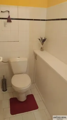 Pronájem bytu 2+1, Skuteč, Družstevní, 52 m2