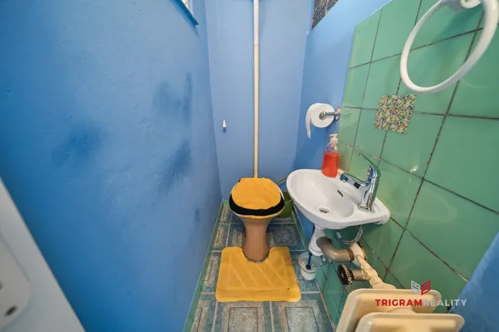 Pronájem rodinného domu, Nechanice, 140 m2