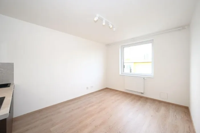 Pronájem bytu 1+kk, Praha - Vršovice, Kubánské náměstí, 19 m2