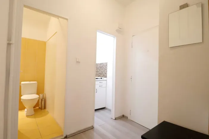Pronájem bytu 1+kk, Brno - Veveří, Cihlářská, 29 m2