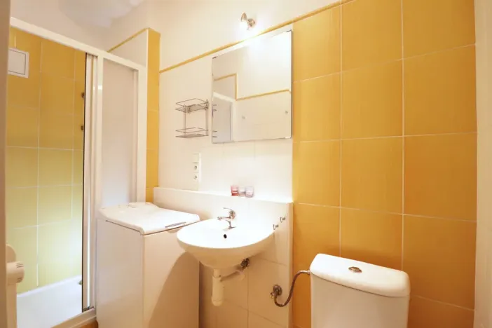 Pronájem bytu 1+kk, Brno - Veveří, Cihlářská, 29 m2