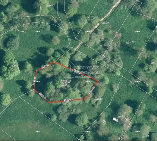 Prodej pozemku pro bydlení, Nová Ves, 4929 m2