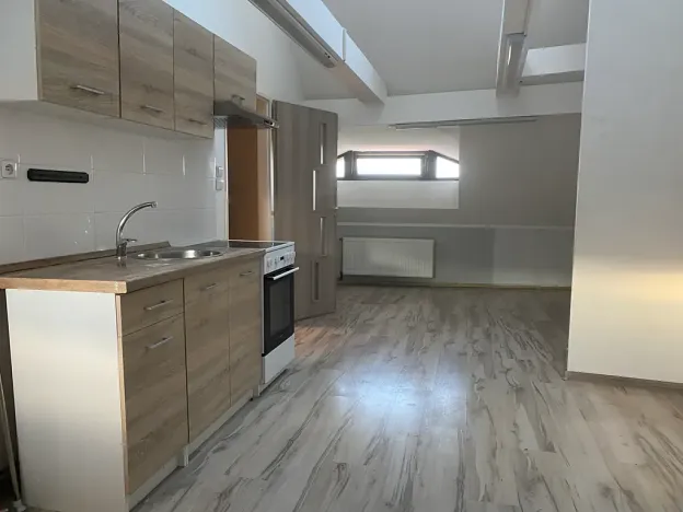 Prodej vícegeneračního domu, Žatec, náměstí 5. května, 400 m2