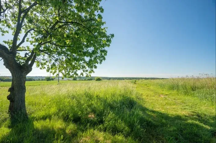 Prodej pozemku pro bydlení, Vejprnice, U Suché louky, 656 m2