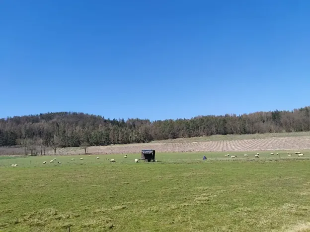 Prodej pozemku pro bydlení, Horažďovice, 1125 m2