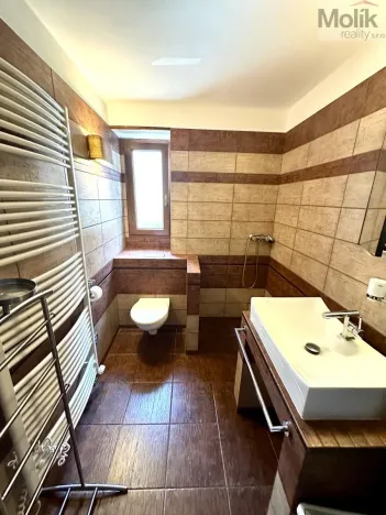 Pronájem bytu 2+1, Teplice, Americká, 56 m2