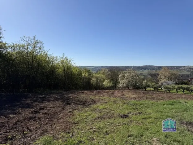 Prodej pozemku pro bydlení, Valeč - Nahořečice, 2955 m2