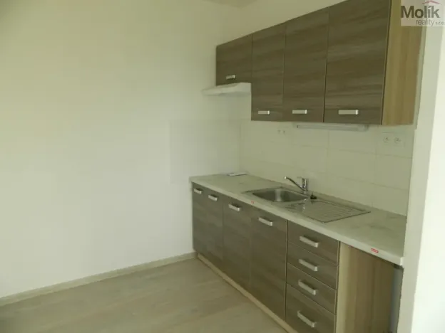 Pronájem bytu 1+kk, Most, Česká, 33 m2