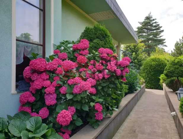 Prodej vily, Říčany - Strašín, Modřínová, 458 m2