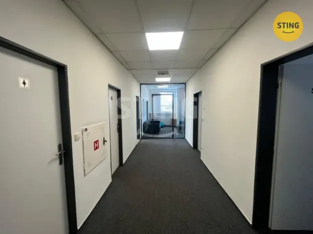 Pronájem kanceláře, Ostrava, Kounicova, 323 m2