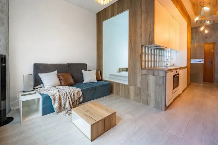 Prodej bytu 1+kk, Brno, Příkop, 31 m2