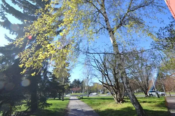 Prodej bytu 3+kk, Praha - Strašnice, Oravská, 51 m2