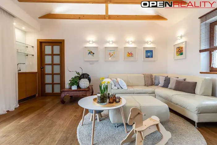 Prodej vícegeneračního domu, Dolní Bojanovice, Vinařská, 367 m2