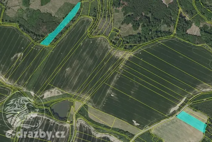 Prodej lesa, Chotýšany, 21423 m2