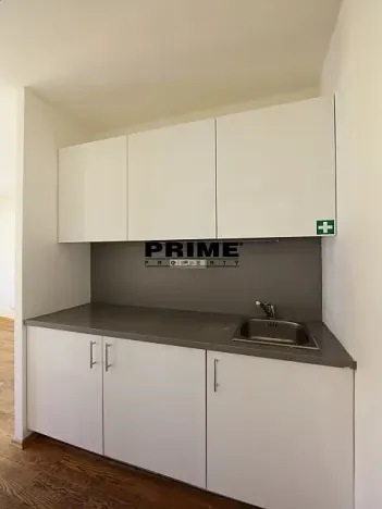 Pronájem bytu 5+1, Praha - Smíchov, Štefánikova, 168 m2