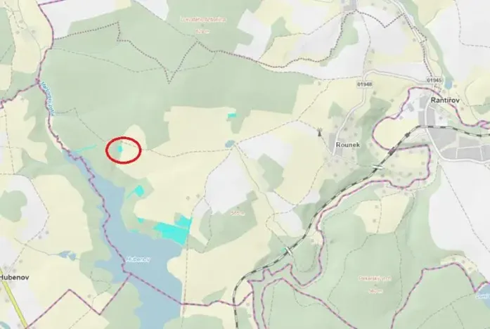 Prodej lesa, Vyskytná nad Jihlavou, 1283 m2