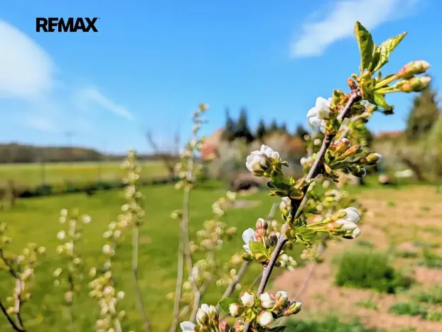 Prodej chaty, Tuněchody, 7 m2