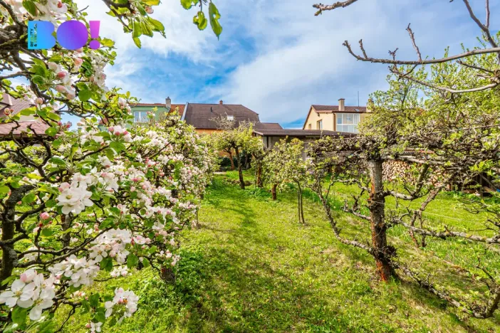 Prodej rodinného domu, Přerov, Hlavní, 149 m2