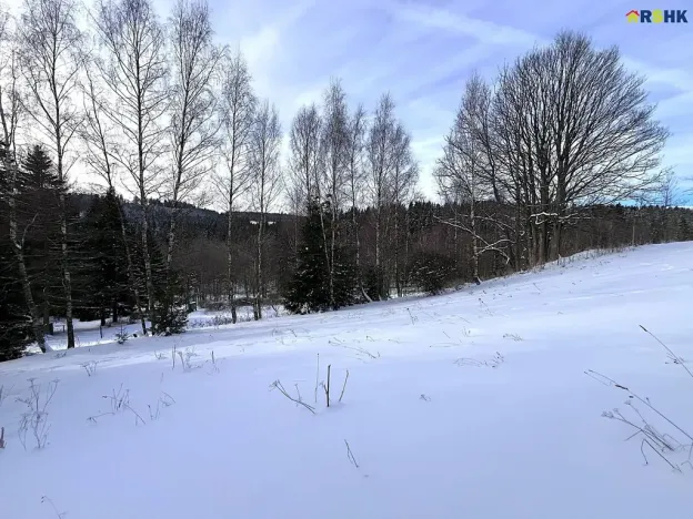 Prodej pozemku pro bydlení, Říčky v Orlických horách, 5940 m2