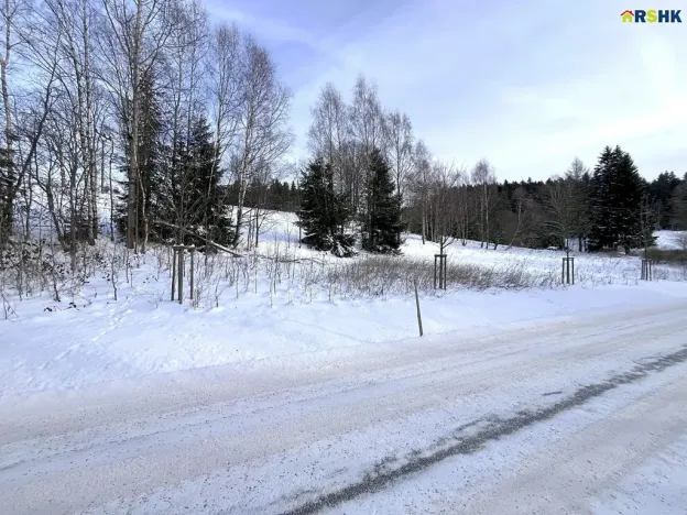 Prodej pozemku pro bydlení, Říčky v Orlických horách, 5940 m2
