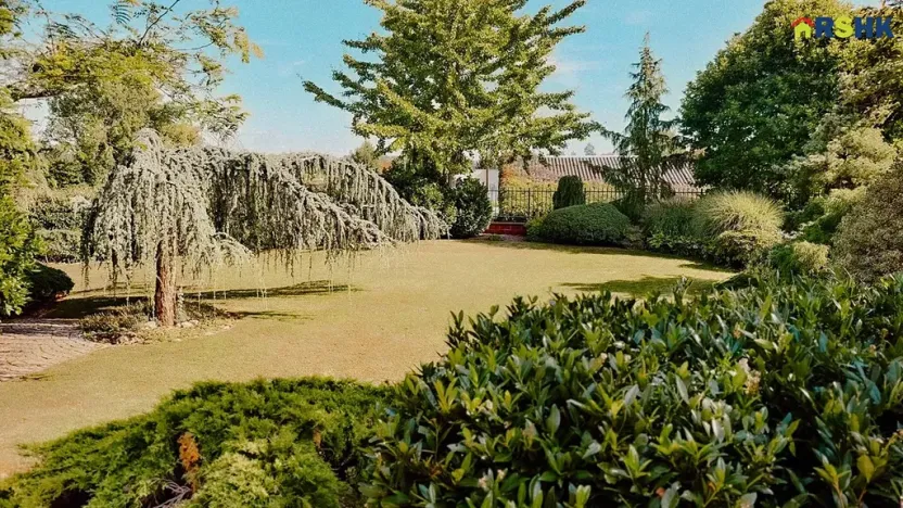 Prodej komerční nemovitosti, Hradec Králové, Petra Jilemnického, 950 m2