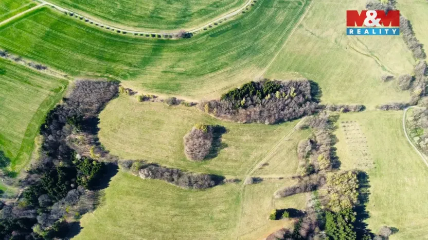 Prodej lesa, Pastviny, 8896 m2