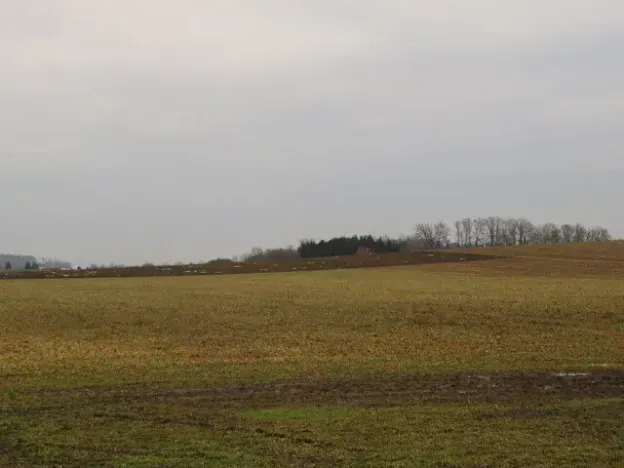 Dražba louky, Račice nad Trotinou, 18528 m2