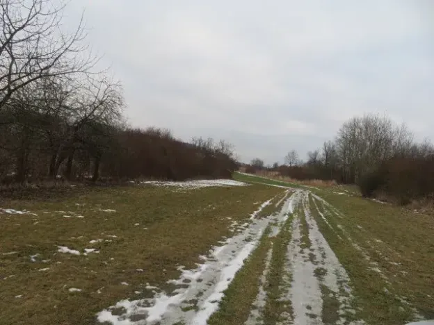 Dražba louky, Račice nad Trotinou, 18528 m2