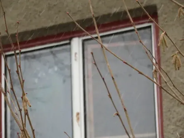 Dražba chaty, Zlatá Koruna, 10 m2