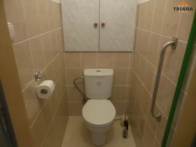 Pronájem bytu 4+1, Liberec, Březová alej, 83 m2