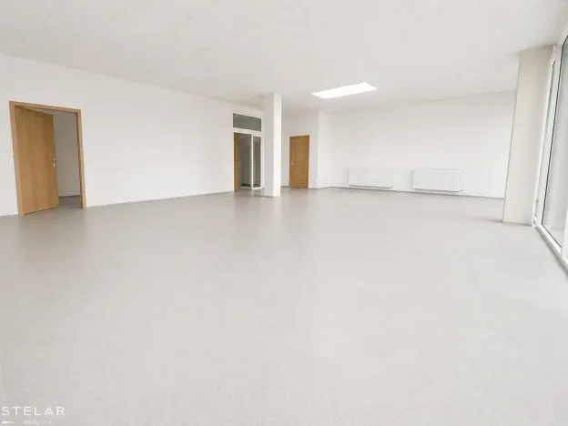 Pronájem obchodního prostoru, Hlučín, Cihelní, 113 m2